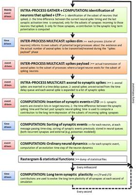 Scaling of a Large-Scale Simulation of Synchronous Slow-Wave and Asynchronous Awake-Like Activity of a Cortical Model With Long-Range Interconnections